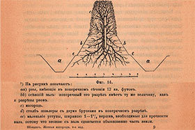 Схема устройства вала для живой изгороди, рекомендованная 150 лет назад Р.И.Шредером в России