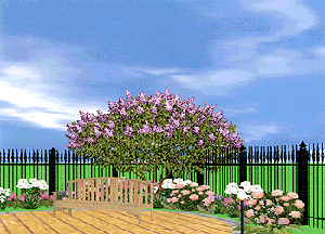 Примеры визуального оформления проектов сада